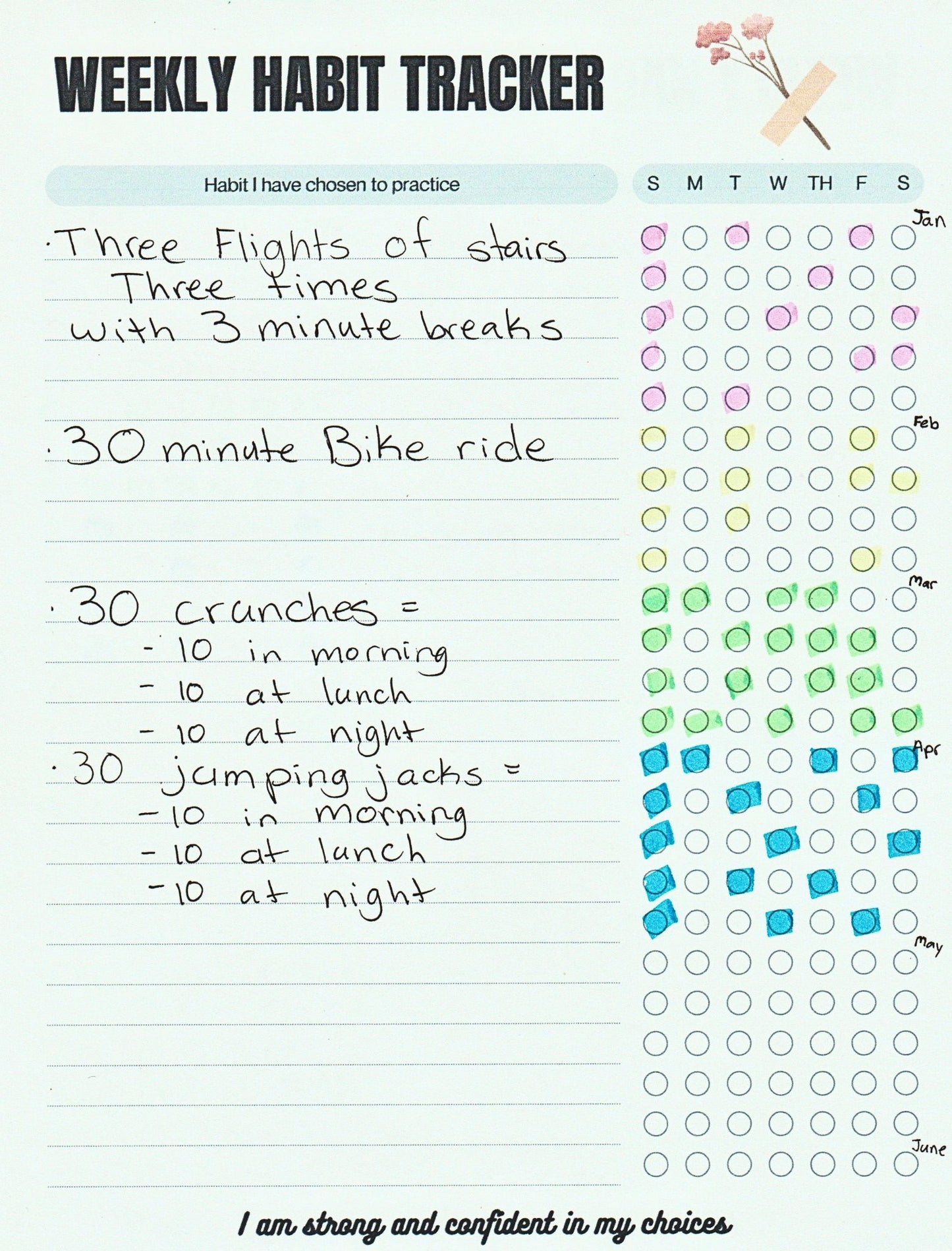 Weekly Habit Tracker Template - 24 Habits with 7 Day Progress Bubbles