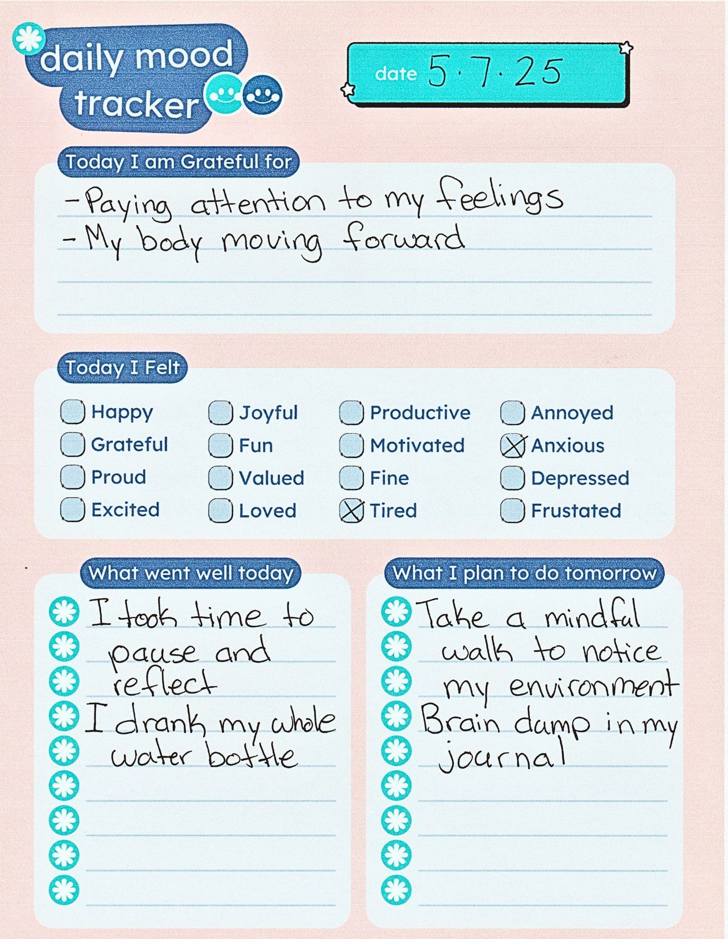 Daily Mood Tracker Template - Gratitude, Reflection & Tomorrow’s Intentions